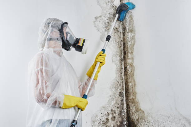 Water damage restoration insurance claims in Fairview, OR